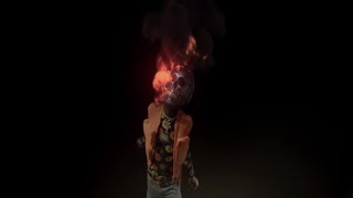 Going Wild Music Video