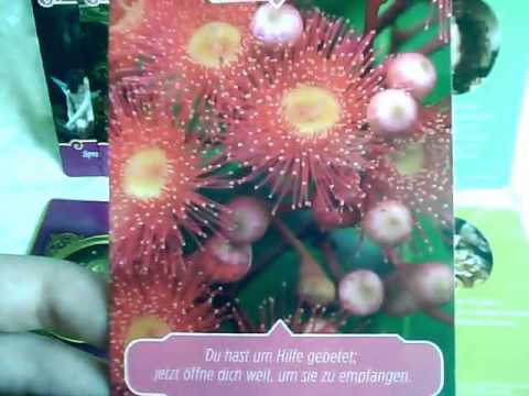 Götterorakel der Liebe vom  11.April - 25.April 2016