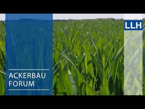 Ackerbauforum - Strategien zur Bekämpfung von Blattkrankheiten (KW 20/2021)