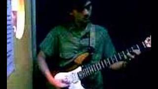 Plastic Flowers - The Wake