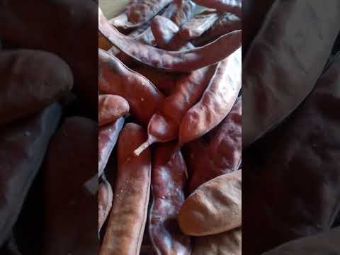 Vargens do pau ferro,em Cariús Ceará Brasil!!!