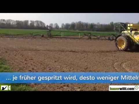 Rüben Saatkontrolle und erster Pflanzenschutz