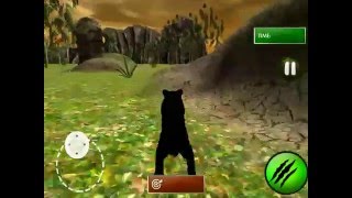 Wild Black Panther Attack Simulator 3D videosu