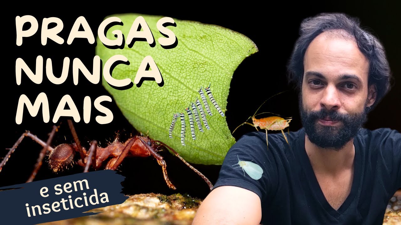 Acabe com Pulgão, Fungo, Formigas, Ácaros, Cochonilha, Mosca Branca de Forma NATURAL Definitivamente