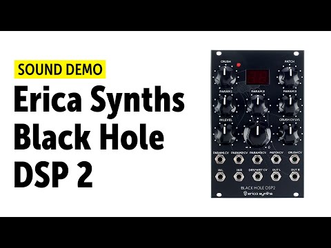 Erica Synths Black Hole DSP 2 Eurorack image 3