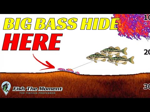 Use 2D Sonar To Reveal GIANT Bass You Never Saw Before On Your Fish Finder