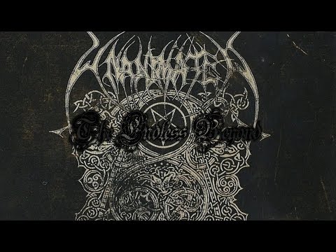 Unanimated - The Endless Beyond (Lyric Video)