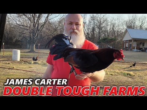 PENNED !! Wagoner Oklahoma James Carter Double Tough Farms