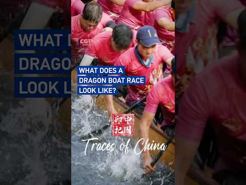 What does a dragon boat race look like?