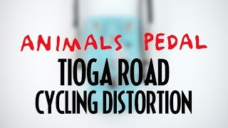 Video thumbnail for Animals Pedal Tioga Road Cycling Distortion by Pedal of the Day