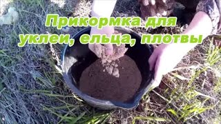 Прикормка при ловле ельца