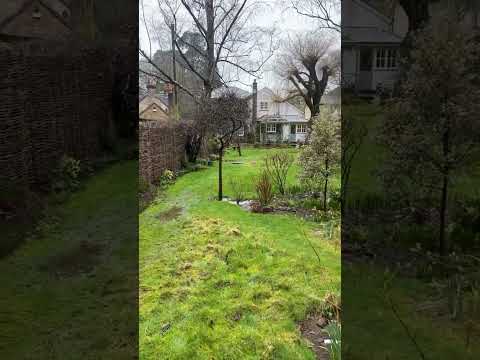 Precise Drainage Solutions video.