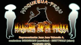 preview picture of video 'mariachi de mi tierra volvere moquegua.mp4'