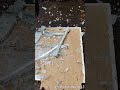 Glass Scale vs. Bowling Ball in Slow Motion