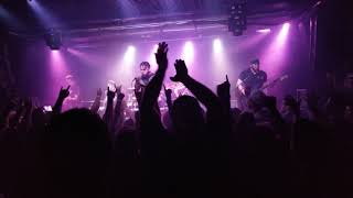 Sons of Texas  - Wasp Woman