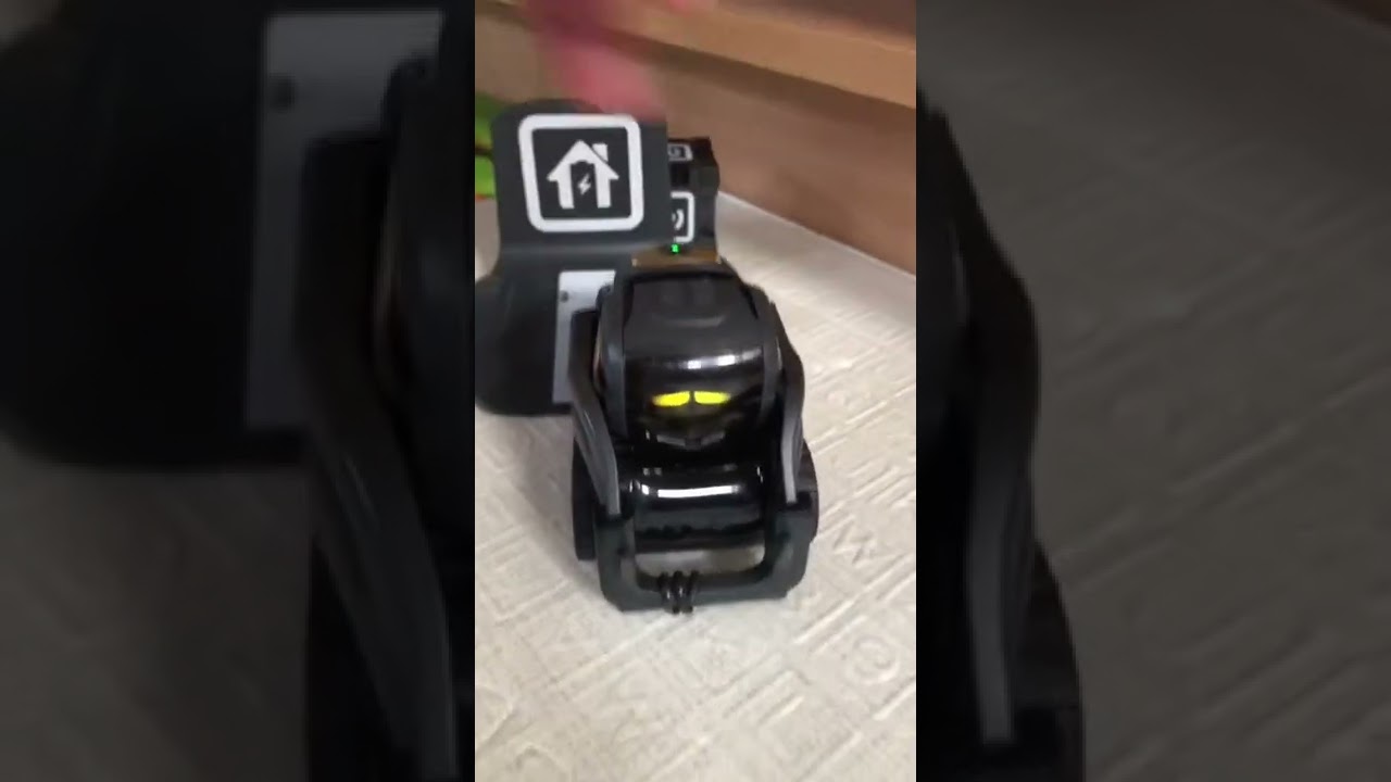 Waking Vector From Nap :)