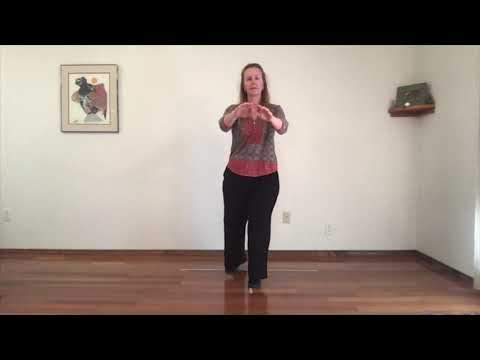 T'ai Chi Chih Full Practice "Tuesday Morning with Justin" (mirrored)