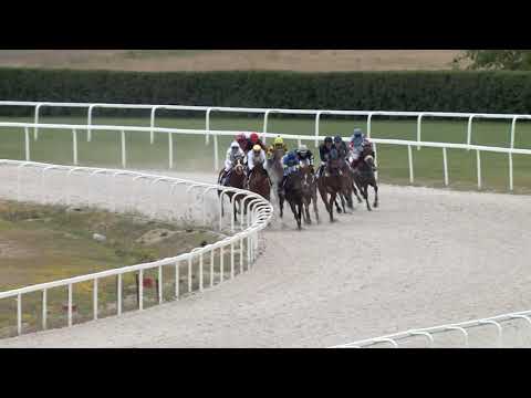 2020.05.31. 08. futam - GRÓF CSEKONICS GYULA EMLÉKVERSENY HENDIKEP (IV.o.) (szintetikus pálya)