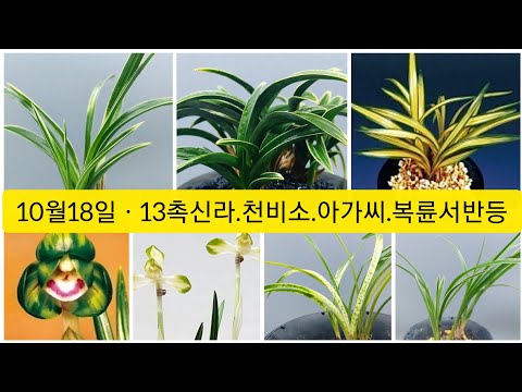유튜브 썸네일