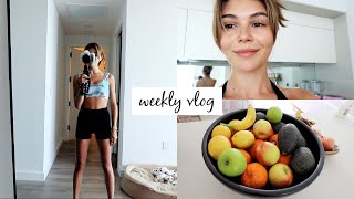 lil weekly vlog!!! grocery haul, new furniture, etc. l olivia jade