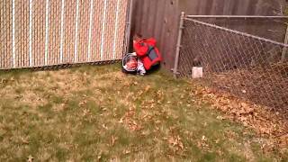 Palm Sunday Easter egg hunt at the Garcia's house