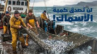 كيف يصطاد البحارة آلاف الأطنان من الأنشوفة؟ رحلة خطيرة في بحر آزوف