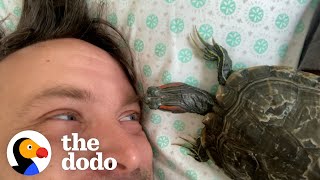 Turtle Is His Dad
