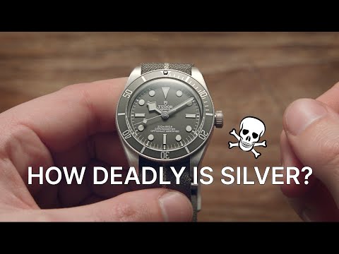 NEW Tudor Black Bay 58 925 In SILVER | Watchfinder & Co.