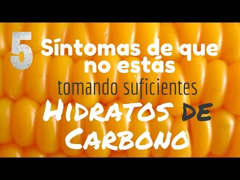 ¿Tomas suficientes hidratos de carbono?
