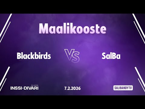 Maalikooste: Blackbirds - SalBa (Inssi-Divari N)
