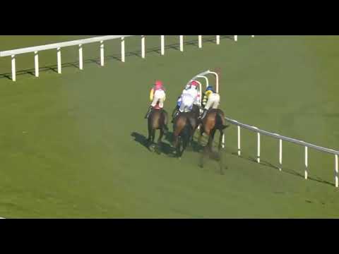 RACE1-at 12.15PM- ASCOT / UK / 21 NOV 2025