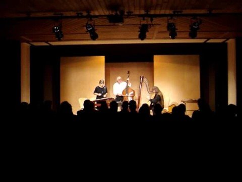 Fraunhofer Saitenmusik im ThalSaal