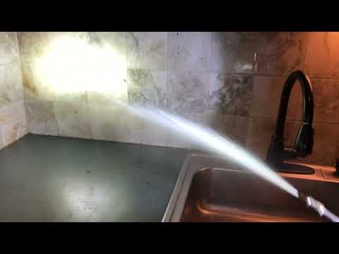 Kitchen Loaded with Cockroaches in Red Bank, NJ