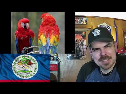 Geography Now! Belize REACTION