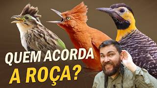 Miniatura do vídeo
