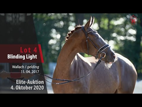 Elite-Auction October 4, 2020 Lot 4 Blinding Light Wallach v. Blessing - Laudabilis