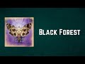 Mercury Rev - Black Forest Lorelei (Lyrics)