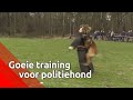 Presentatrice v.s. hond, wie wint? | Uitzending 't Brabants Buske 6 april 2019
