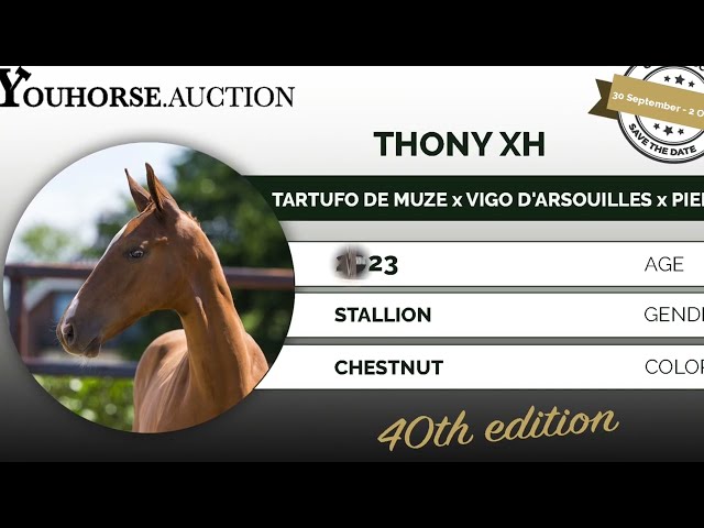 Thony XH