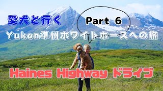 夏のユーコン準州ホワイトホースの旅～パート6 . Haines Highway ドライブ