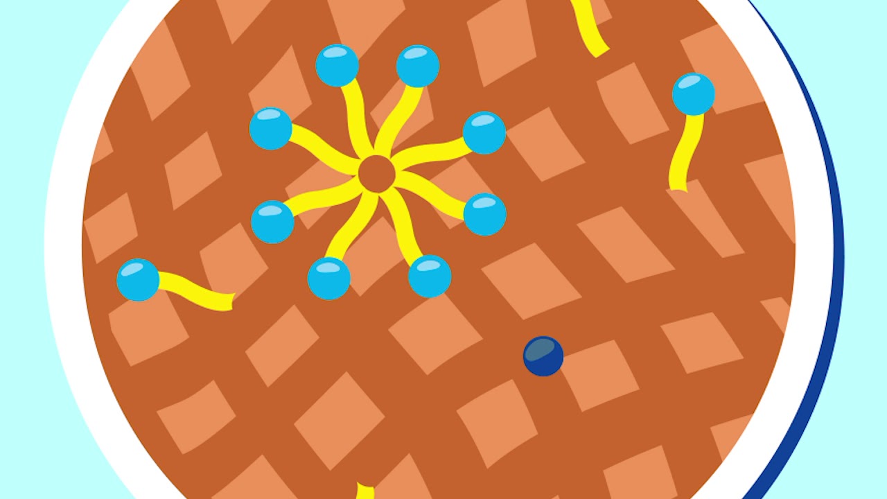 How Detergents Works: Surfactants