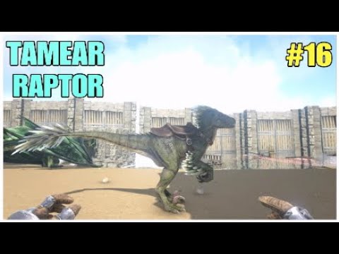TAMEAR RAPTOR🦎[#16]ARK THEISLAND SERVIDOR OFICIAL PVE