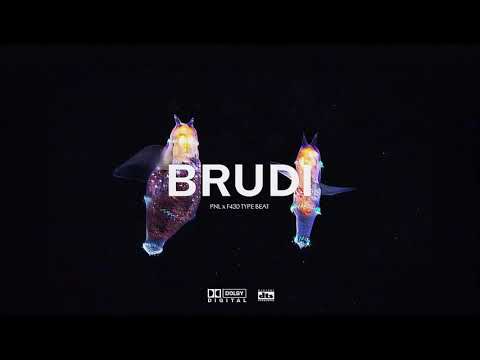 PNL x F430 Type Beat - BRUDI