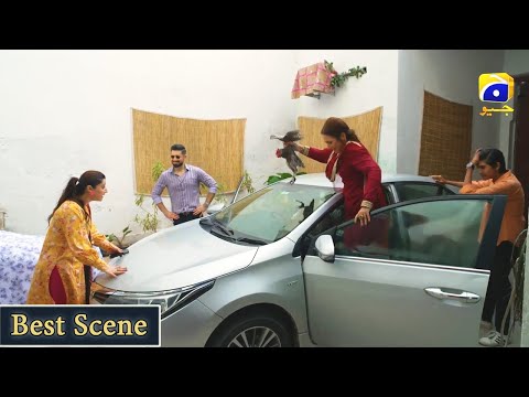 Qalandar Episode 17 | 𝗕𝗲𝘀𝘁 𝗦𝗰𝗲𝗻𝗲 𝟬𝟯 | Muneeb Butt | Komal Meer | Ali Abbas | Hiba Aziz | HAR PAL GEO