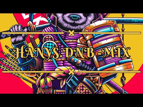 HANYS.DNB - MIX
