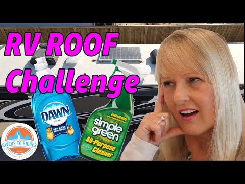 QUIZ: Which RV Roof Cleaner Works BEST? (Full Time RV Living)