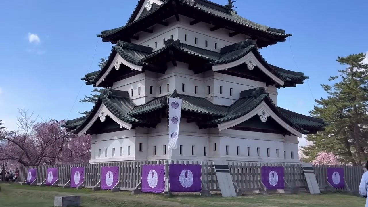 Top 8 best cherry blossom viewing spots in Osaka #sakura