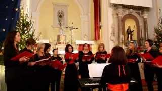 preview picture of video 'Ženski zbor Gradac, Gradac'