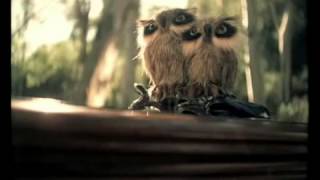 A Fine Frenzy - Rangers