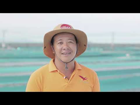 Uni President - Uni Light